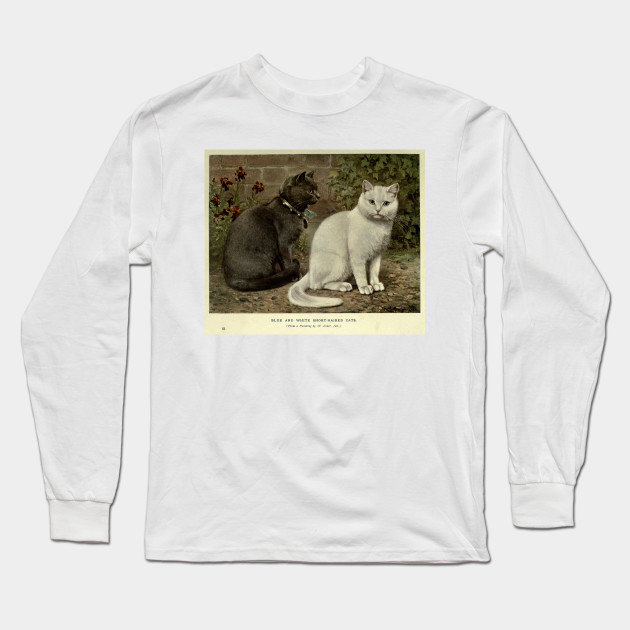 Vintage Grey White Short Haired Cat Painting 1902 Feline