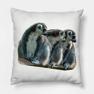 The 3 Amigos Pillow