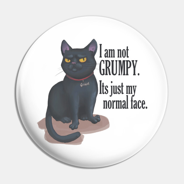 Cat With Groompy Face Cat Pin Teepublic