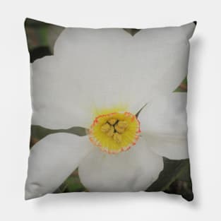 Japanese Anemone Pillow