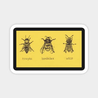 Get To Know Your Stripy Friends! Trio of honeybee, bumblebee, and wasp drawing. Magnet