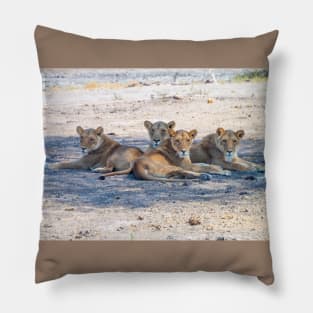 Four Lionesses Shading Themselves Pillow