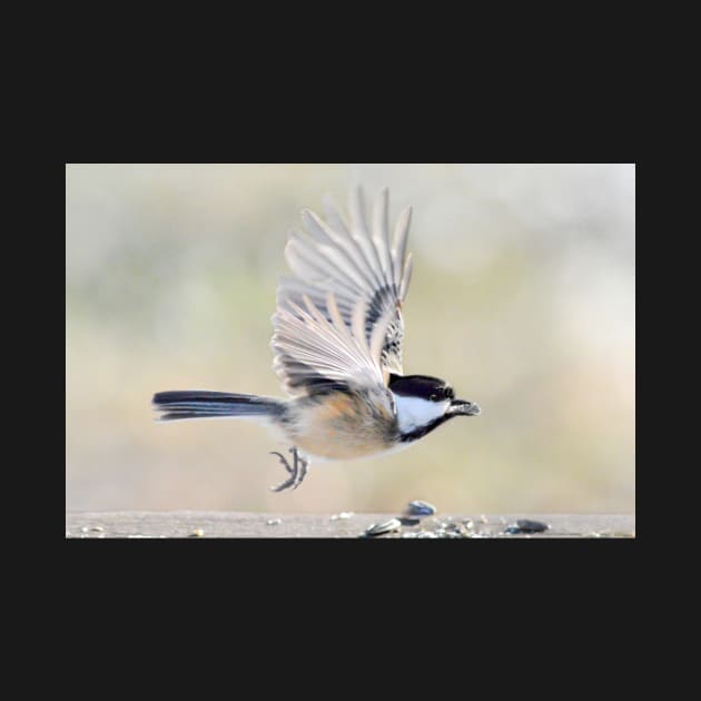 Chickadee departure by LaurieMinor