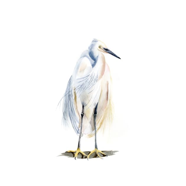 Watercolor Heron by PaintsPassion