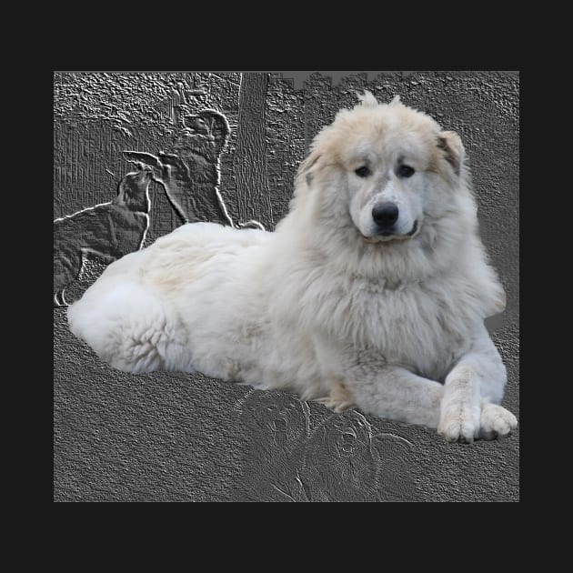 Pyrenees mountain dog in greybackground. by robelf