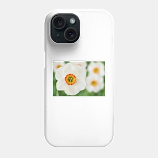 Narcissus  &#39;Felindre&#39;    Div.  9 Poeticus  Daffodil Phone Case