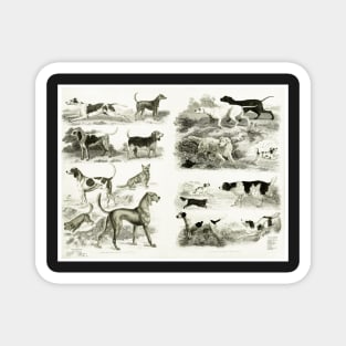 1830 Dog Breeds Magnet