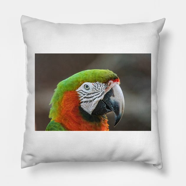 Preserve Pillow by KensLensDesigns