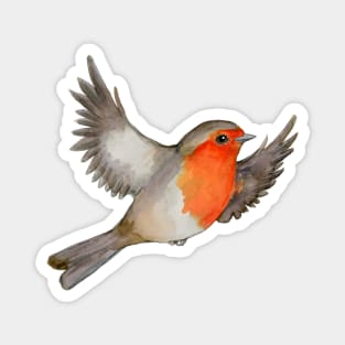 A watercolor drawing of a flying robin Magnet