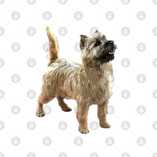 Cairn Terrier Beautiful dog by ElegantCat