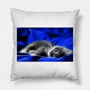 cat blue Pillow
