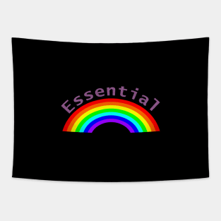 Small Rainbow Essential Tapestry