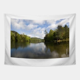 Mountain Lake Vista Tapestry