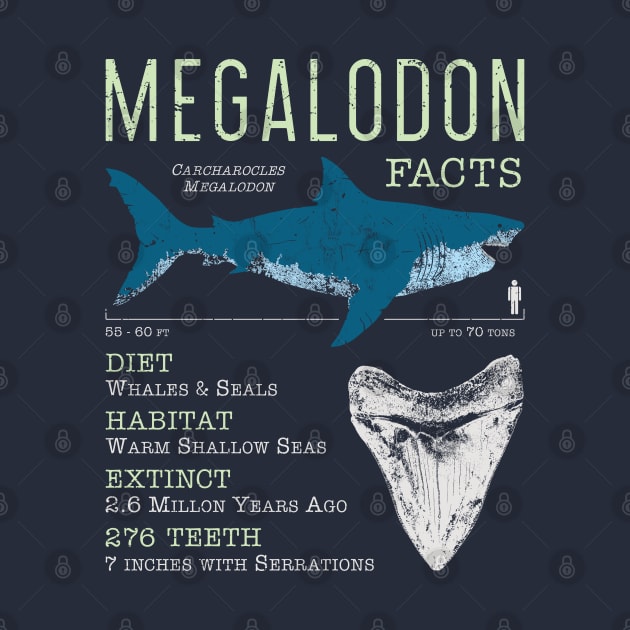 Megalodon Facts by IncognitoMode