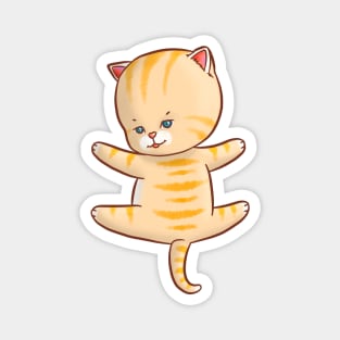 I Just Really Love To Hug My Cat Cute Kawaii Novelty Magnet