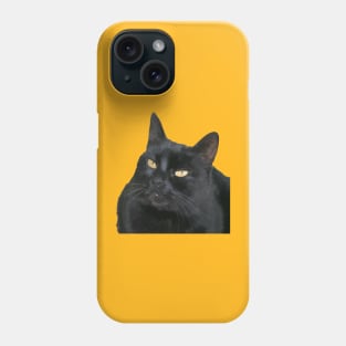 Black Cat With Beautiful Yellow Eyes Vector Art Cut Out Phone Case