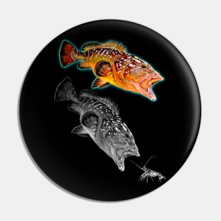 Rockcod Pin