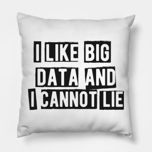 Data analyst - I like big data and cannot lie Pillow