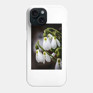 Snowdrops 2 Phone Case