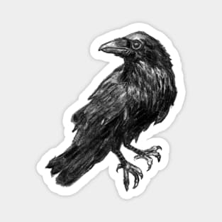 The Raven Magnet