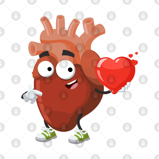 cartoon anatomical human heart organ keeps the heart - Heart - Spilla