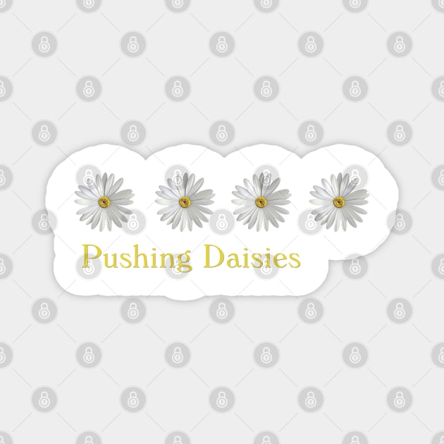 Pushing Daisies Magnet by HalamoDesigns