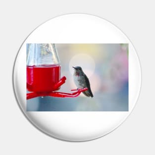 Hummingbird sun halo Pin