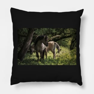 Off the beaten track Pillow