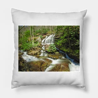 Hemlock Hollow Early Spring Pillow