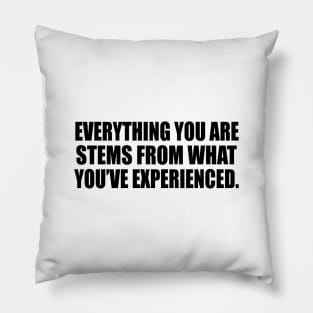 Everything you ARE stems from what you’ve experienced Pillow