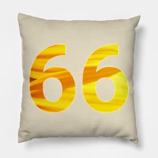 66 celebration day Pillow