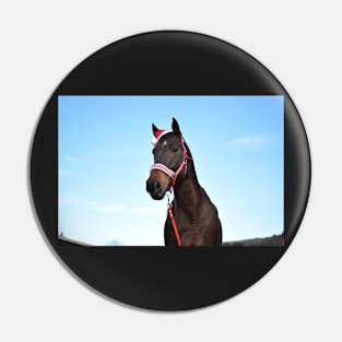 christmas horse photograph Pin