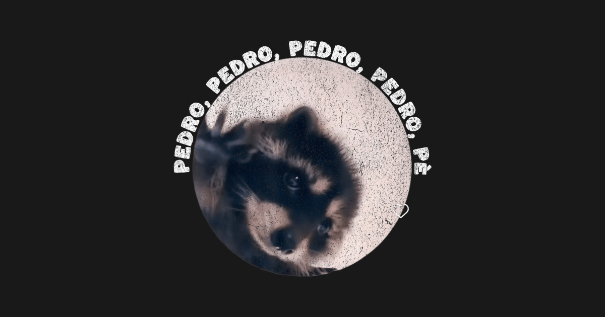 Pedro Racoon Dance Meme Popular - Pedro Racoon Dance - T-Shirt | TeePublic