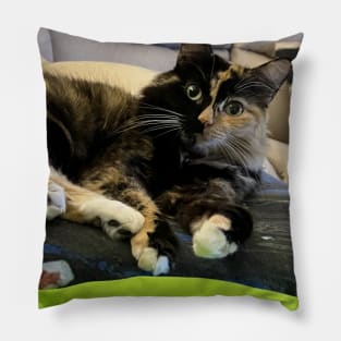 Tortoiseshell Cat Pillow