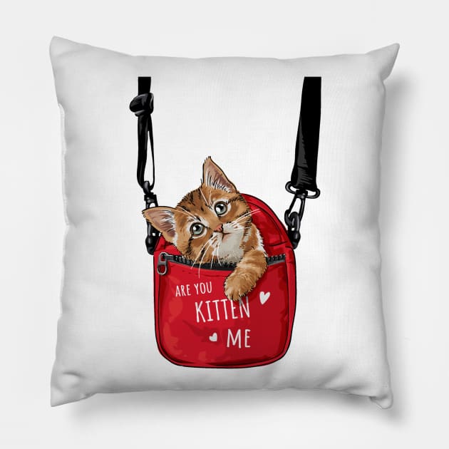 Are You Kitten ME ? Pillow by Mako Design 