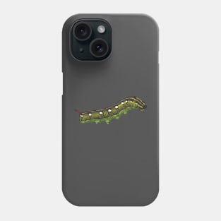 Striped Hark-moth caterpillar Phone Case