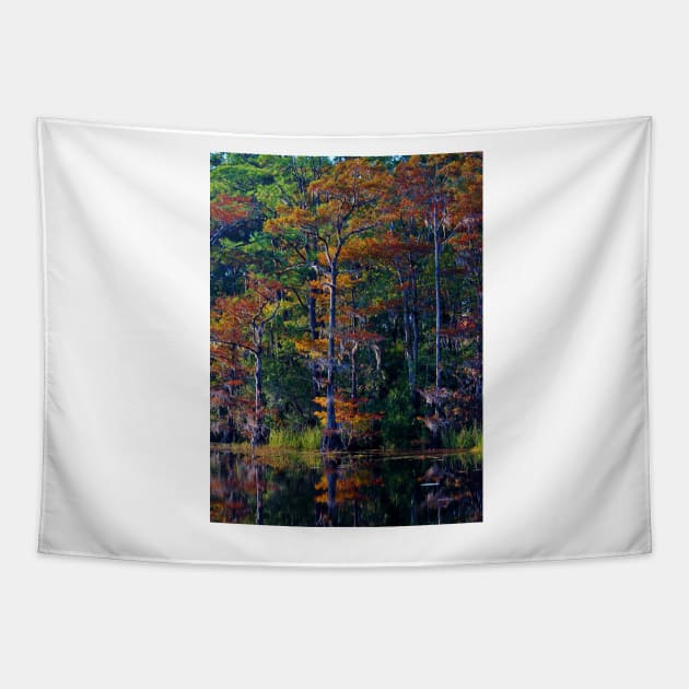 Autumn Trees Tapestry by Cynthia48