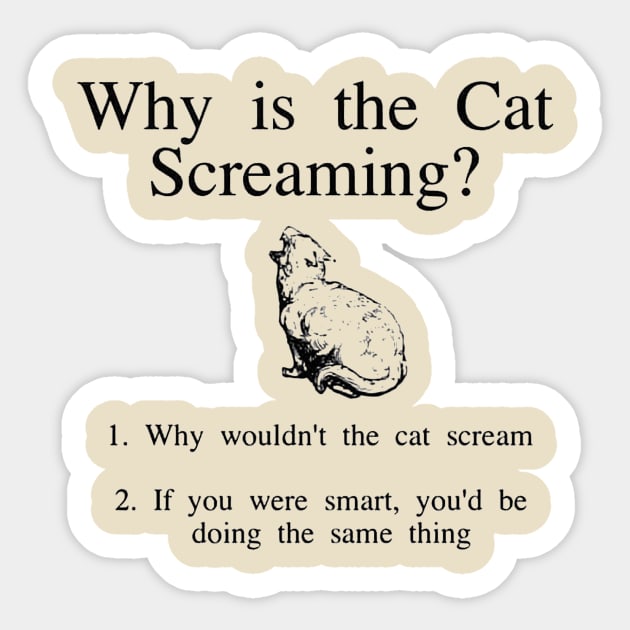 What Does It Mean When A Cat Is Screaming? 