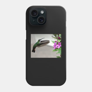 Hummingbird Phone Case