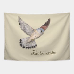 Flying Kestrel illustration Tapestry