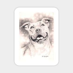 American Pitbull Terrier Magnet