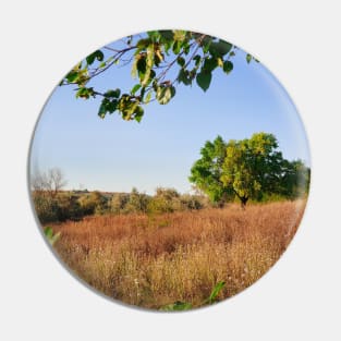 Autumn season landscape Pin