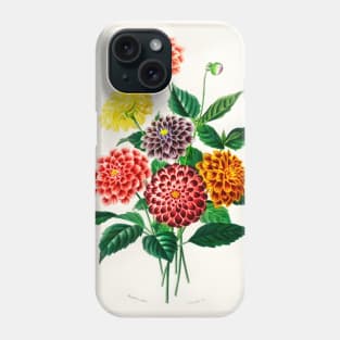 Dahlia Phone Case