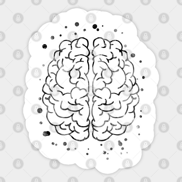 Brain Anatomy Medical Art Watercolor Brain Brain Print