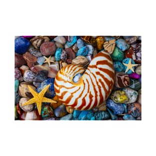 Nautilus On Polished Colorful Stones T-Shirt