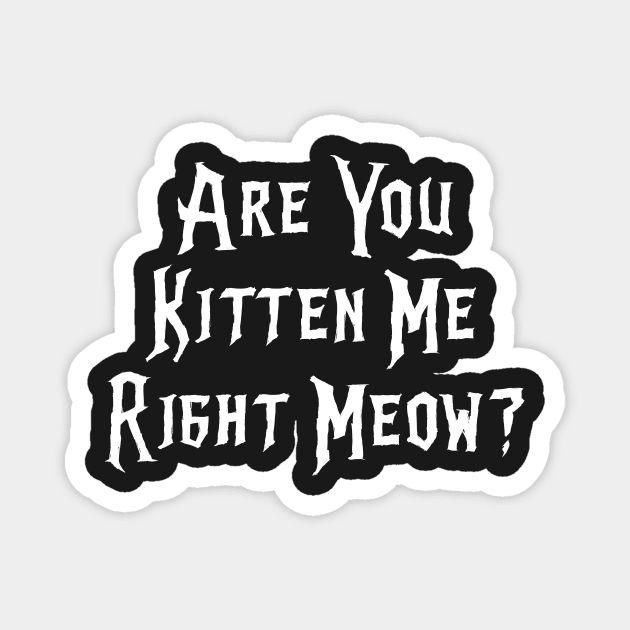 Are You Kitten Me Right Meow Magnet by daghlashassan