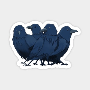 Crows Magnet