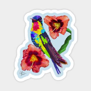 Hummingbird Magnet