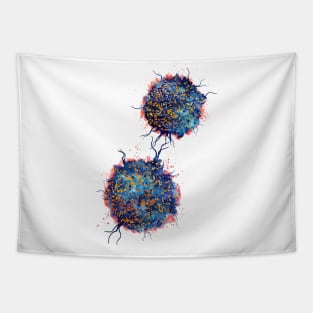 T cells Tapestry