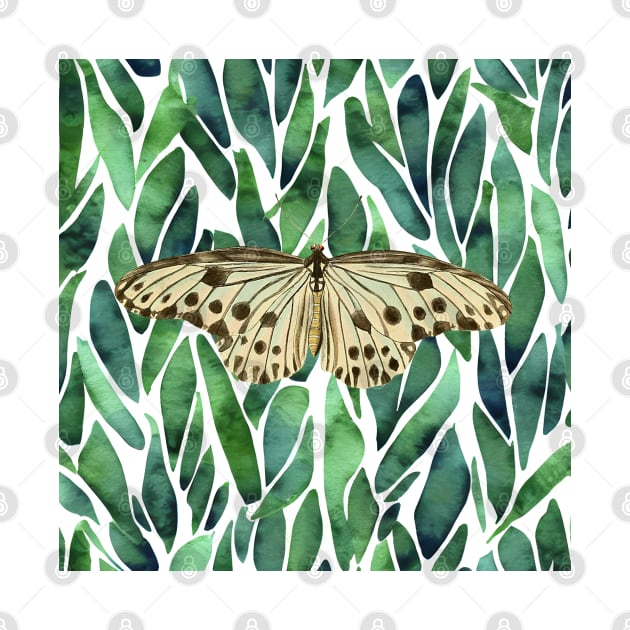 Vintage Butterfly Pattern by Yourfavshop600